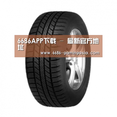 6686官网产品名称八