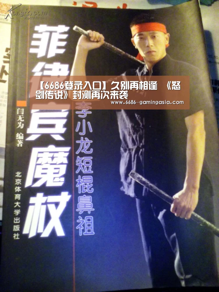 6686登录入口