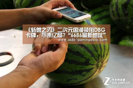 6686登录入口