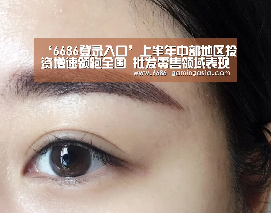 6686登录入口